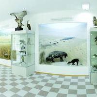 Государственный музей природы Узбекистана